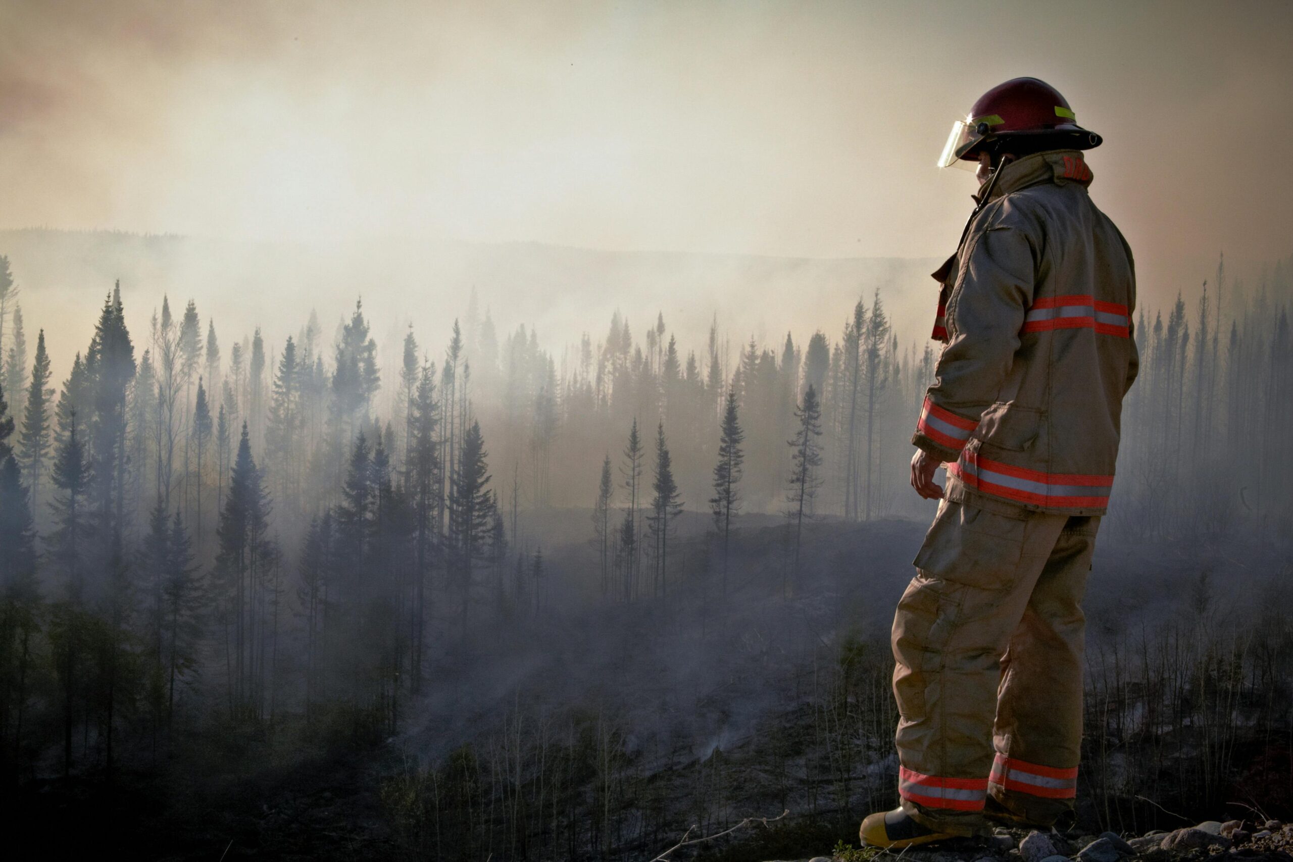 Projects A firefighter in uniform surveys the aftermath of a forest fire with smoke rising through the trees.